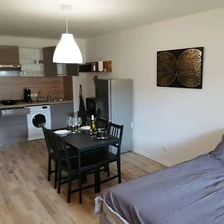 5 Min Du Centre Et De La Gare Apartment *